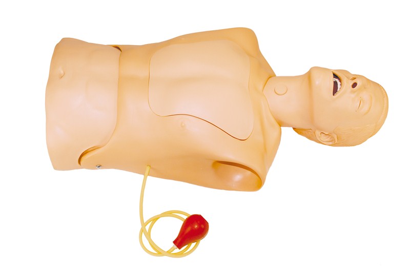 Mô hình huấn luyện đặt ống thông mũi-dạ dày và chăm sóc lỗ mở thông khí quản