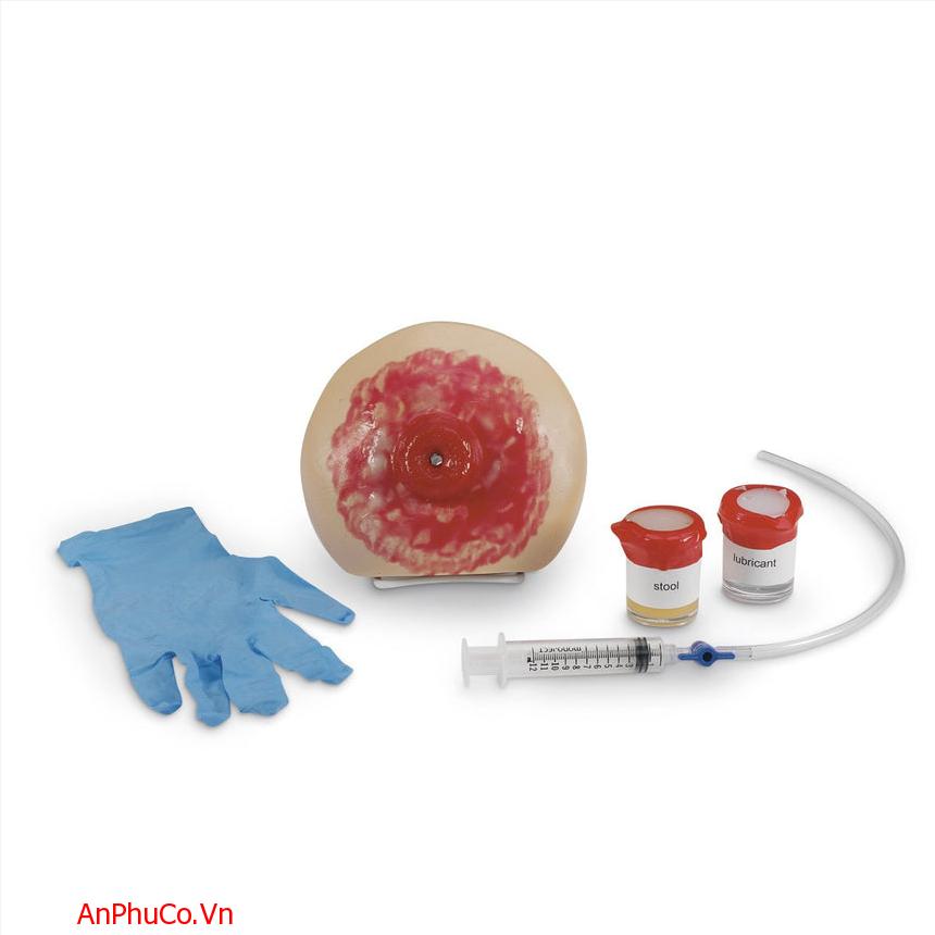 Mô hình đào tạo Chăm sóc Ostomy bị nhiễm bệnh Life/Form® [SKU: LF00898 C]